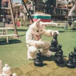 fortune rabbit