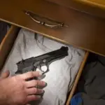 Arma de fogo 765 protecao da familia