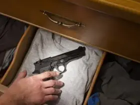 Espingardas do Paraguai: Vale a Pena Comprar? Guia Completo 16 Arma de fogo 765 protecao da familia