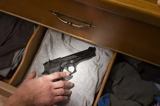 Espingardas do Paraguai: Vale a Pena Comprar? Guia Completo 1 Arma de fogo 765 protecao da familia